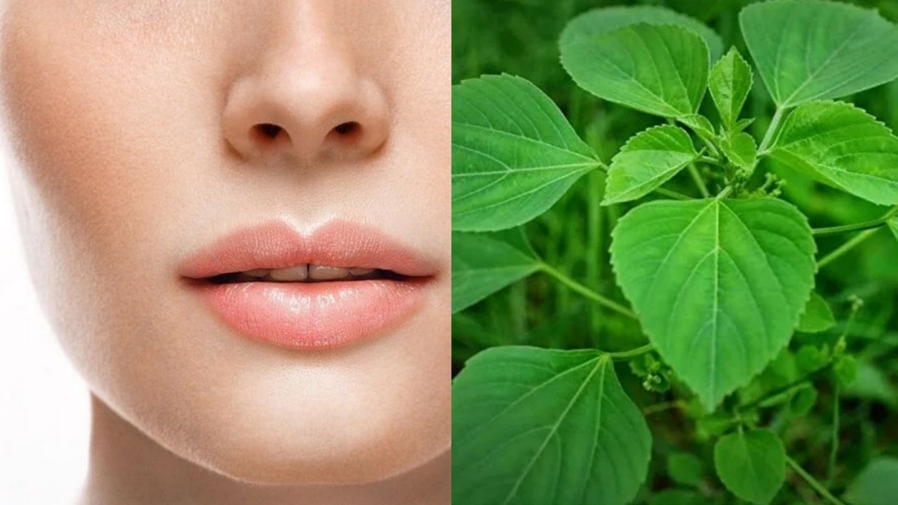 अनचाहे बाल हटाने के लिए ब्यूटी टिप्स हिंदी में Beauty tips to remove