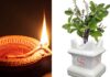 तुलसी मंत्र | Tulsi Mantra Lyrics in Hindi Tulsi Mantra Lyrics in Hindi