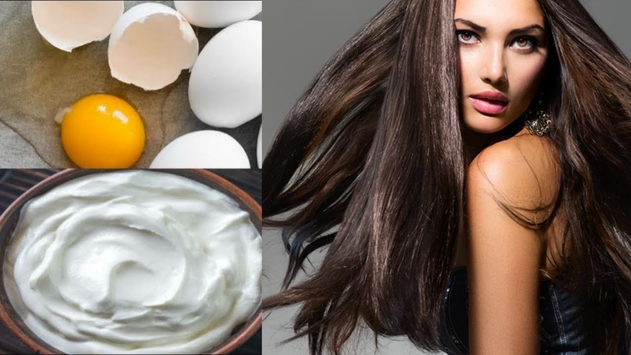 പടടതത കരതതളള മട മടടയ തര മതര  egg yolk and yogurt  recipe for strong hair  Malayalam BoldSky