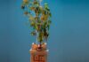 तुलसी मंत्र हिंदी में । Tulsi Mantra in Hindi Tulsi Mantra in Hindi