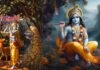 भगवान कृष्ण मंत्र हिंदी में । Lord Krishna Mantra in Hindi Lord Krishna Mantra in Hindi