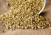 पार्सले सीड्स इन हिंदी । Parsley seeds in Hindi Parsley seeds in Hindi