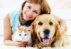 पेट केयर टिप्स हिंदी में । Pet care tips in Hindi Pet care tips in Hindi