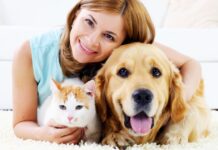 पेट केयर टिप्स हिंदी में । Pet care tips in Hindi Pet care tips in Hindi